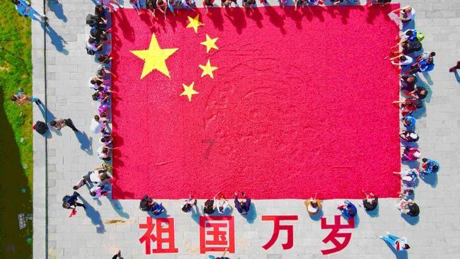 探索吉鹿力问答社区,解锁发生小事故后,是选择走保险还是的秘密!